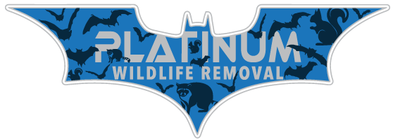 Port Clinton Wildlife Removal